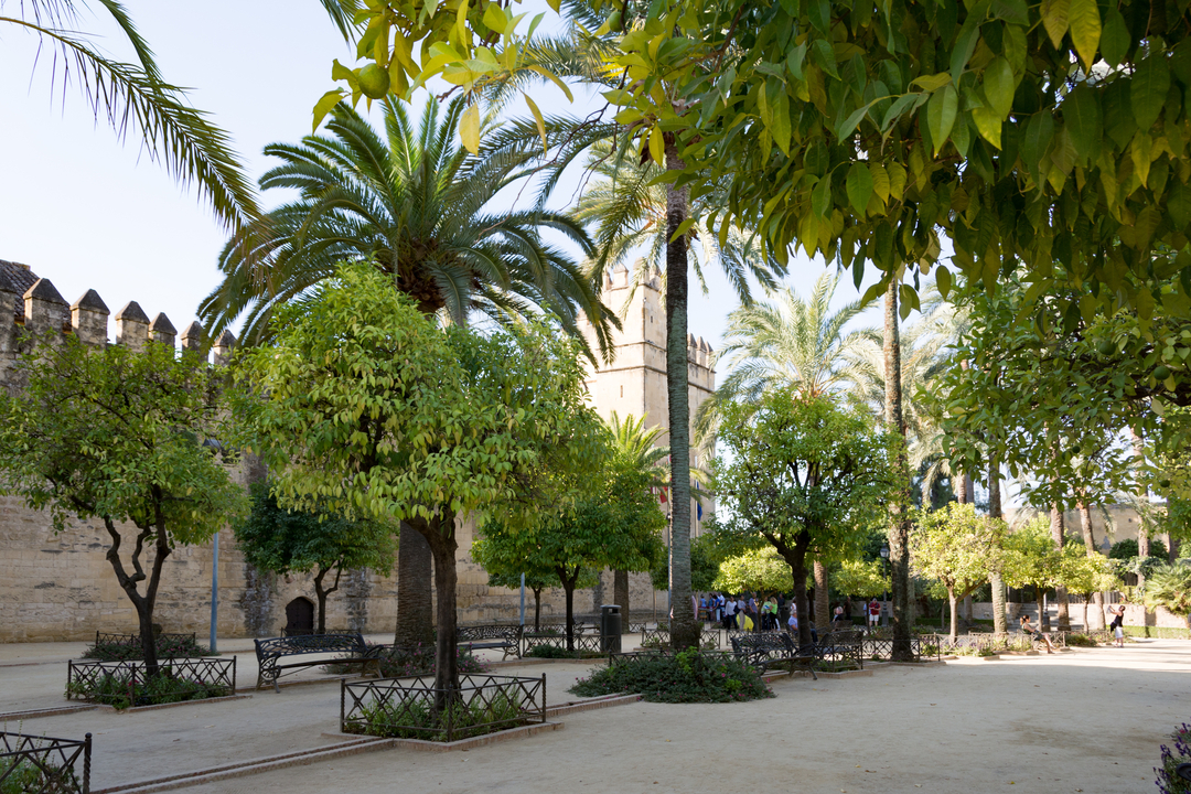 20171005 101741 , Cordoba, Andalusia, Spain